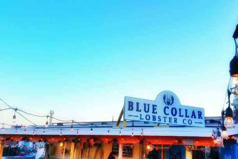 Blue Collar Lobster Co. Gloucester