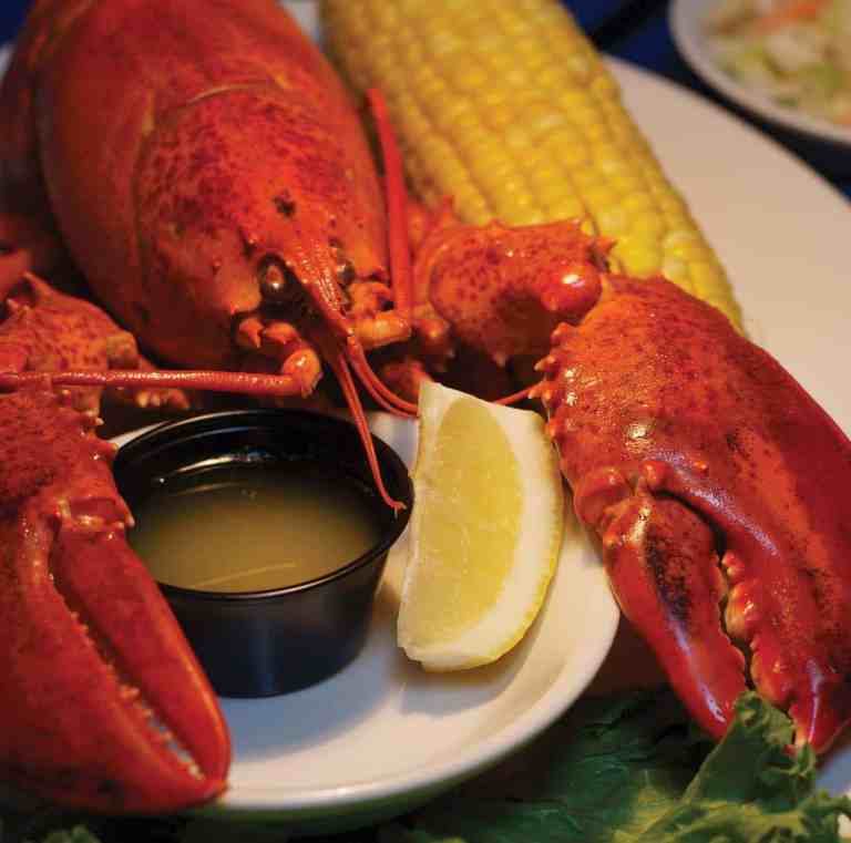 Lobster 101 Discover Gloucester, MA