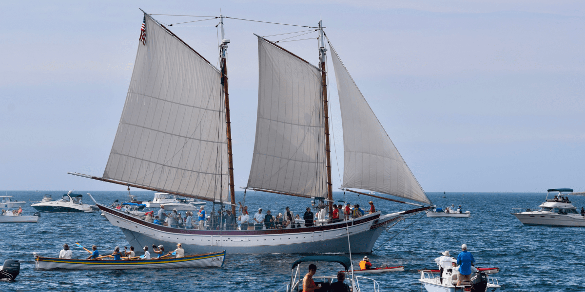 Gloucester Schooner Festival