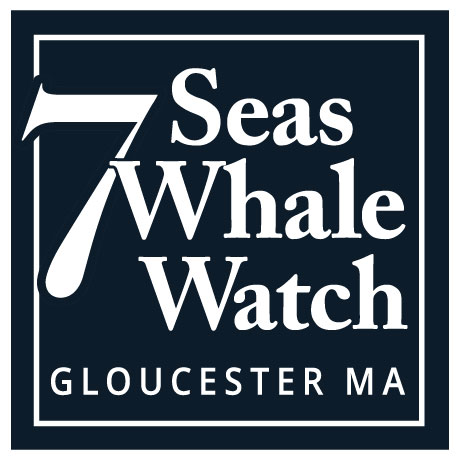 7 Seas Whale Watch Logo