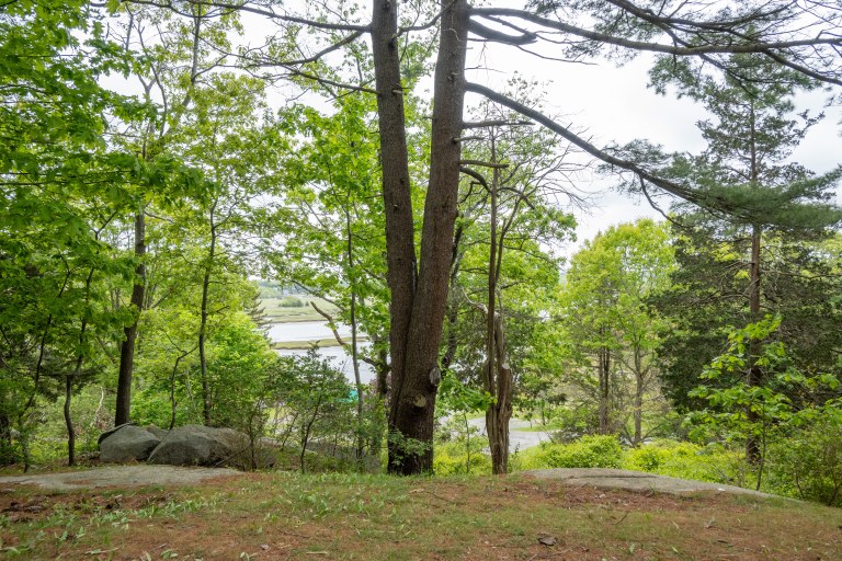 Cape Ann Camp Site_@theprettypostcard (1)