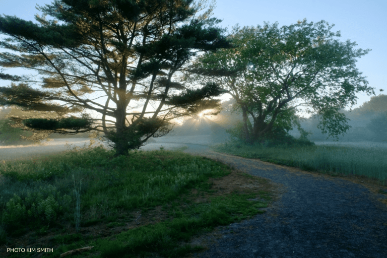 Seine-Field-with-copyright-Kim-Smith