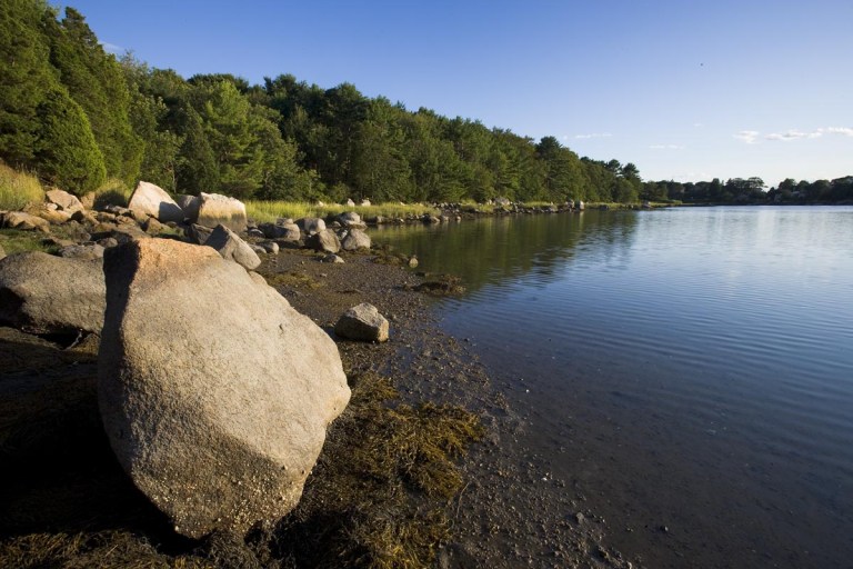 goosecove_monkman_37