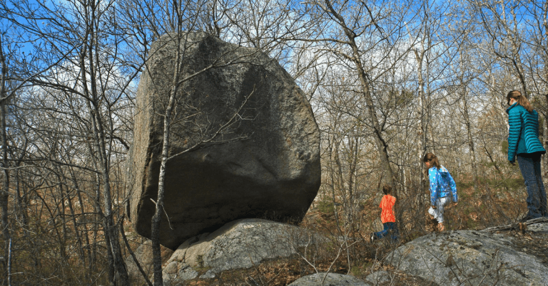 Greenbelt, Essex County's Land Trust feature image