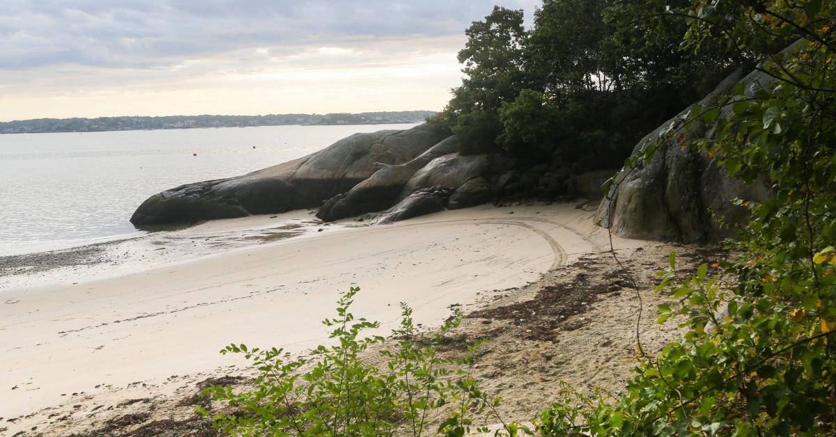 Half Moon Beach - Discover Gloucester