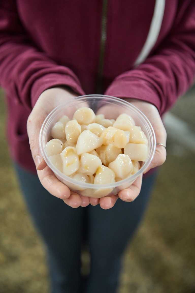 Turners-Seafood-winter-2024_Maggie-Barger-8-1-scaled