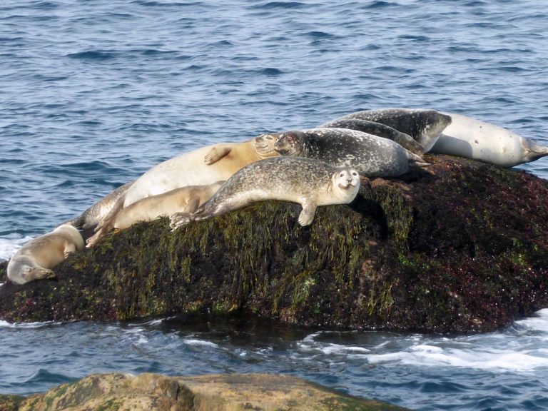 north-shore-adventures-5